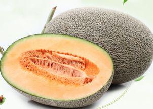 吃哈密瓜台词,舌尖上的甜蜜诱惑