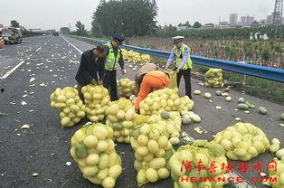 皖南吃瓜群众,揭秘当地特色美食文化