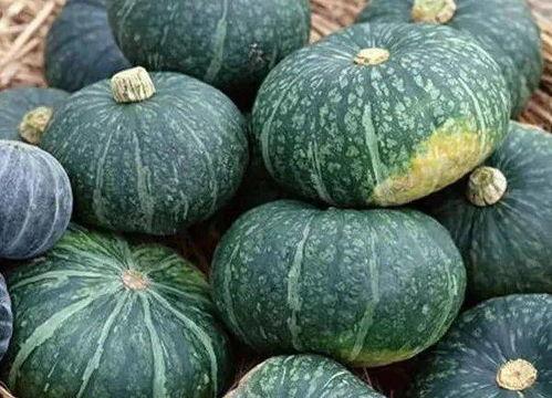 板栗瓜可以怎么吃,解锁美味新境界