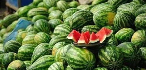 吃瓜后感想,揭秘吃瓜群众的内心世界