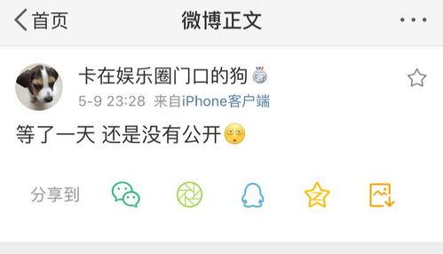 周一爆料吃瓜,娱乐圈惊天大瓜,真相即将揭晓!