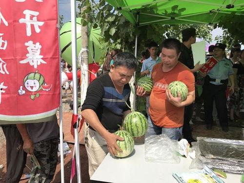 围观现场吃瓜,吃瓜群众的热闹盛宴