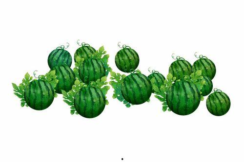 阿熙吃瓜,揭秘娱乐圈幕后故事