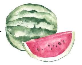 八瓣吃瓜小组,揭秘网络热点的幕后故事