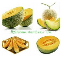 胃炎可不可以吃哈密瓜,胃炎患者适宜食用哈密瓜的探讨
